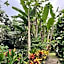 Balian Bliss Retreat Bungalow & Villas