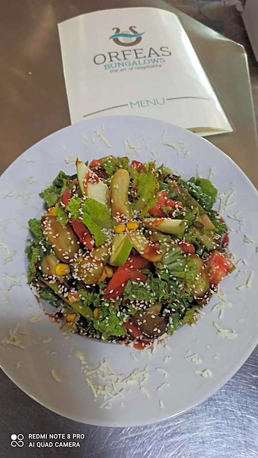 Orfeas Studios Molivos