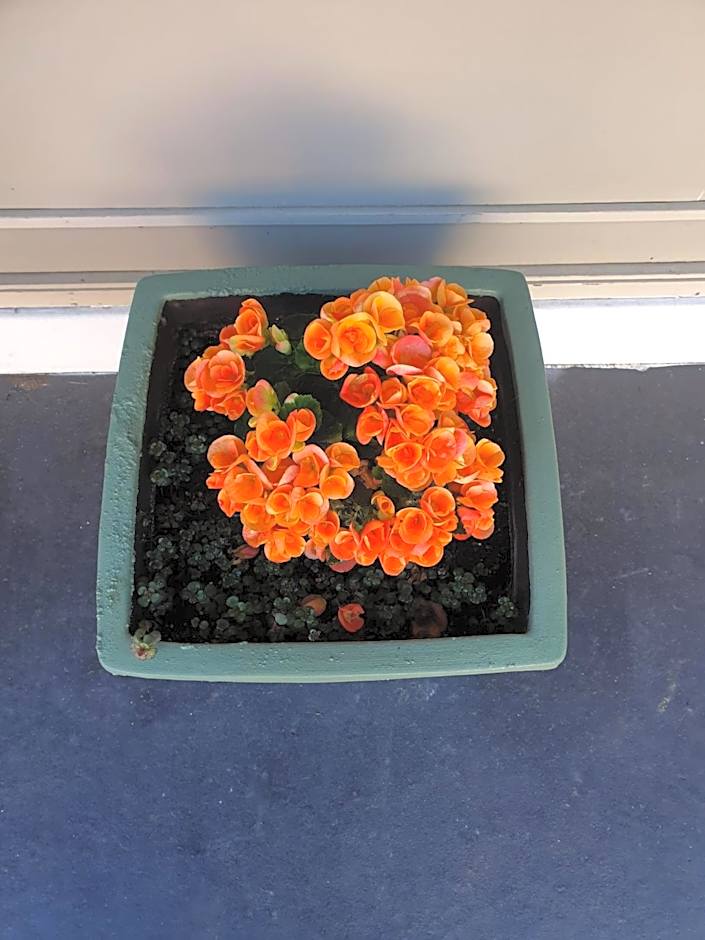 Morwell Parkside Motel