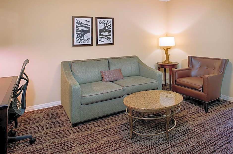 Hilton Garden Inn St. Louis