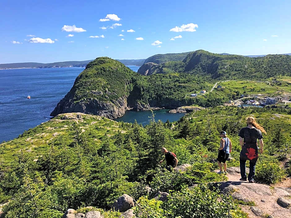 Alt Hotel St. John's