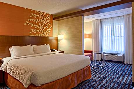 Executive Suite, 1 King Bed with Sofa bed (1 King Bed and 1 Double Sofa Bed)