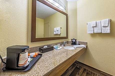 1 King Bed, Nonsmoking