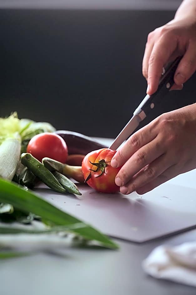Mt Fuji View and Private Sauna Ryokan Shizuku しずく