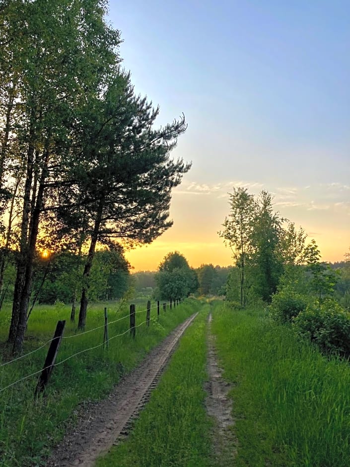 Agroturystyka w zielonym spichlerzu, Puszcza Białowieska