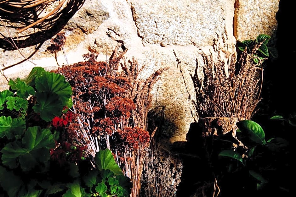 Pazo de Chaioso Ribeira Sacra