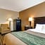 Comfort Inn Woburn - Boston