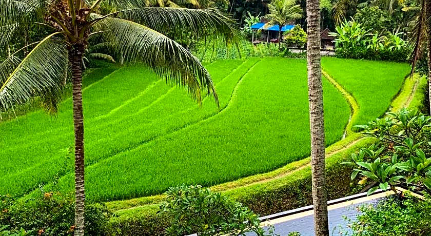Umasari Rice Terrace Villa by AGATA 