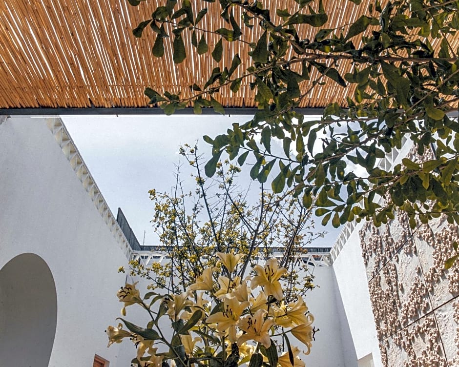 Casa Carmen Morelos