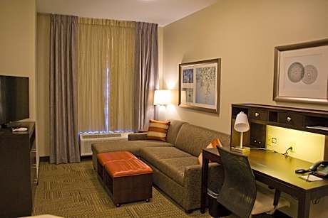 One-Bedroom King Suite