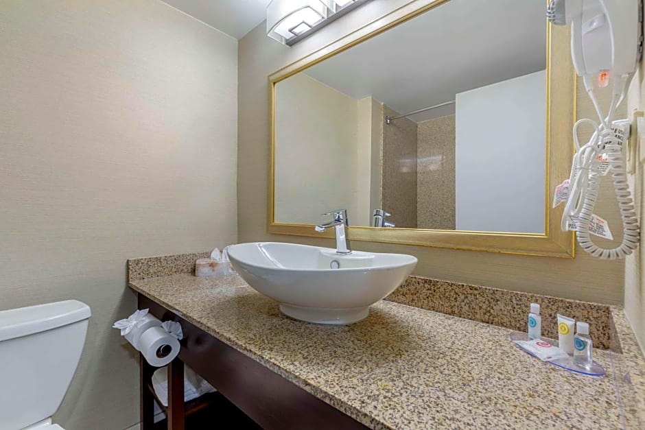 Comfort Inn Washington Dulles International