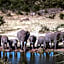 Four Seasons Safari Lodge Serengeti Tanzania