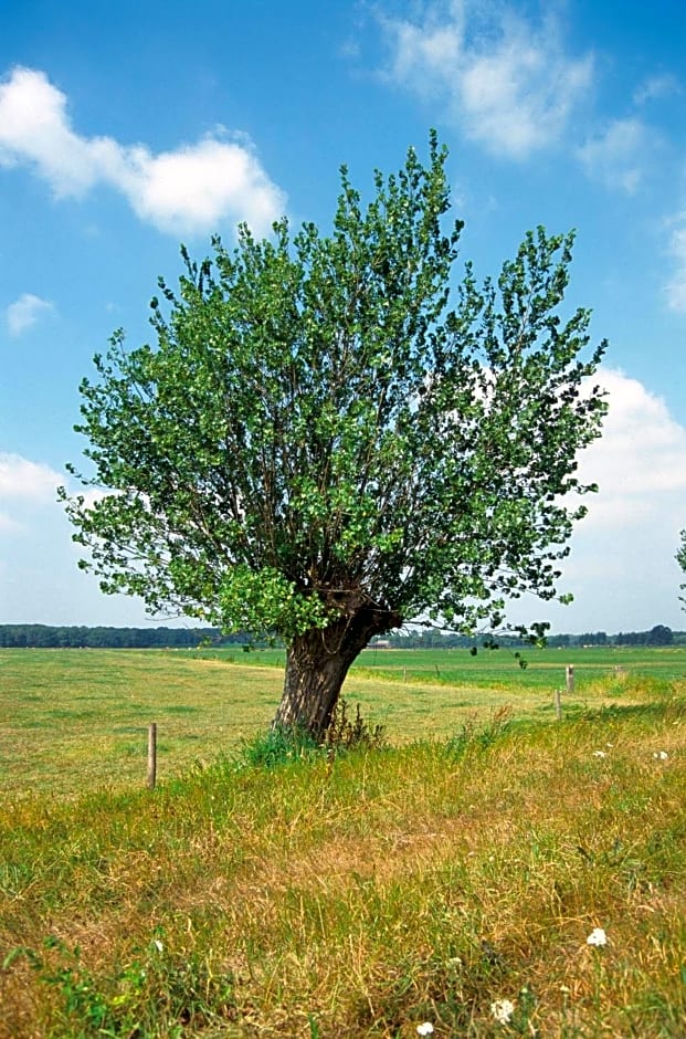 Fletcher Hotel Restaurant Carlton