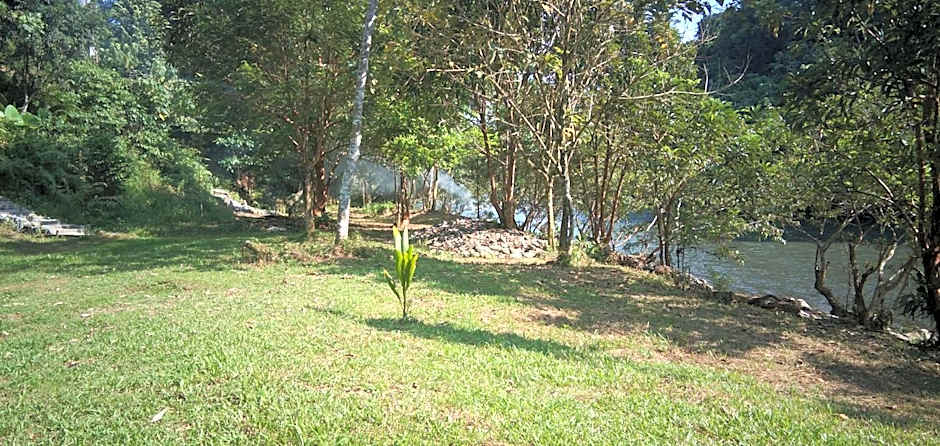 Green Forest Tangkahan