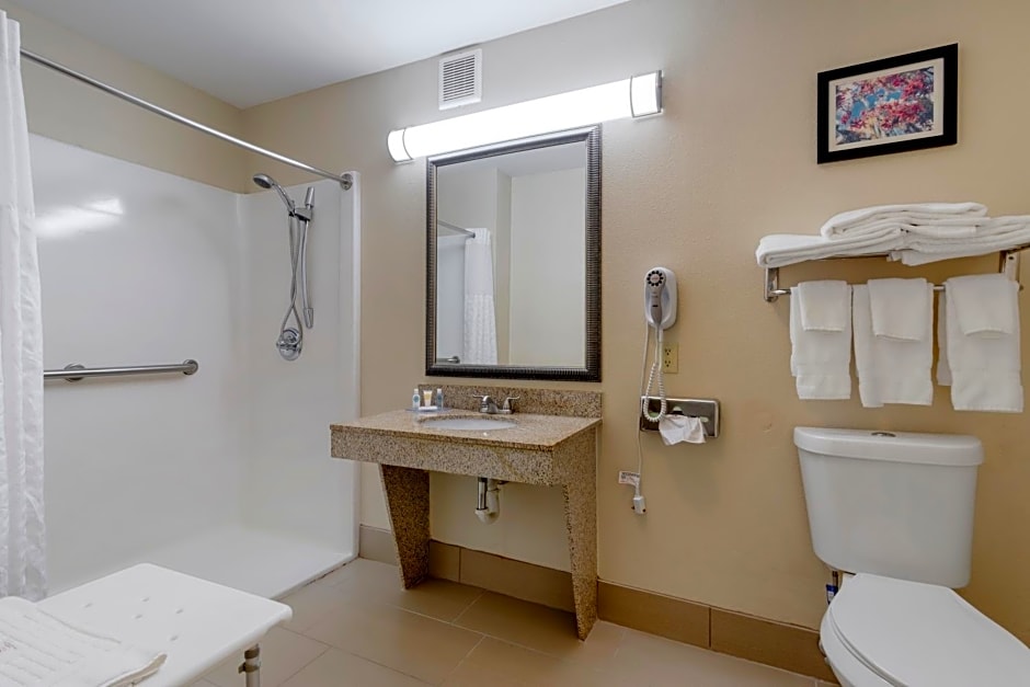 Comfort Suites Columbus State University Area