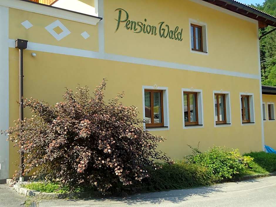 Pension Wald
