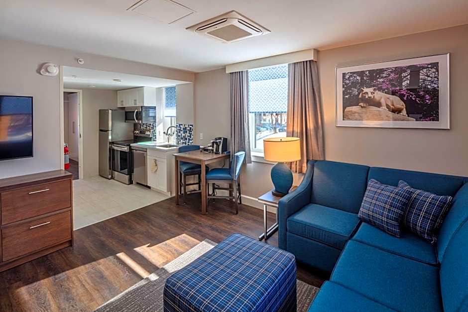 Scholar State College, Tapestry Collection by Hilton