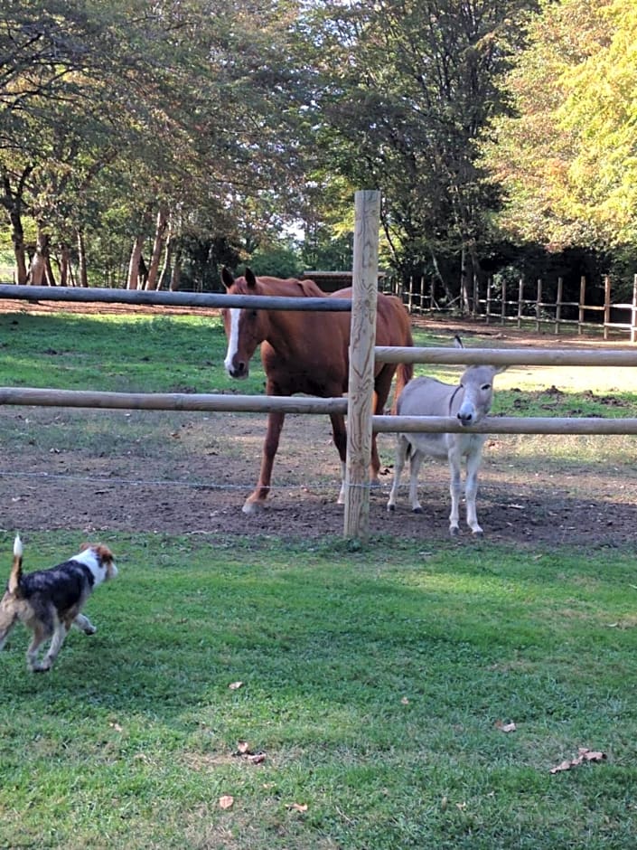 Chateau du Val Larbont