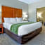 Comfort Inn & Suites Lenoir Hwy 321 Northern Foothills