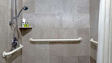 King Suite - Disability Access