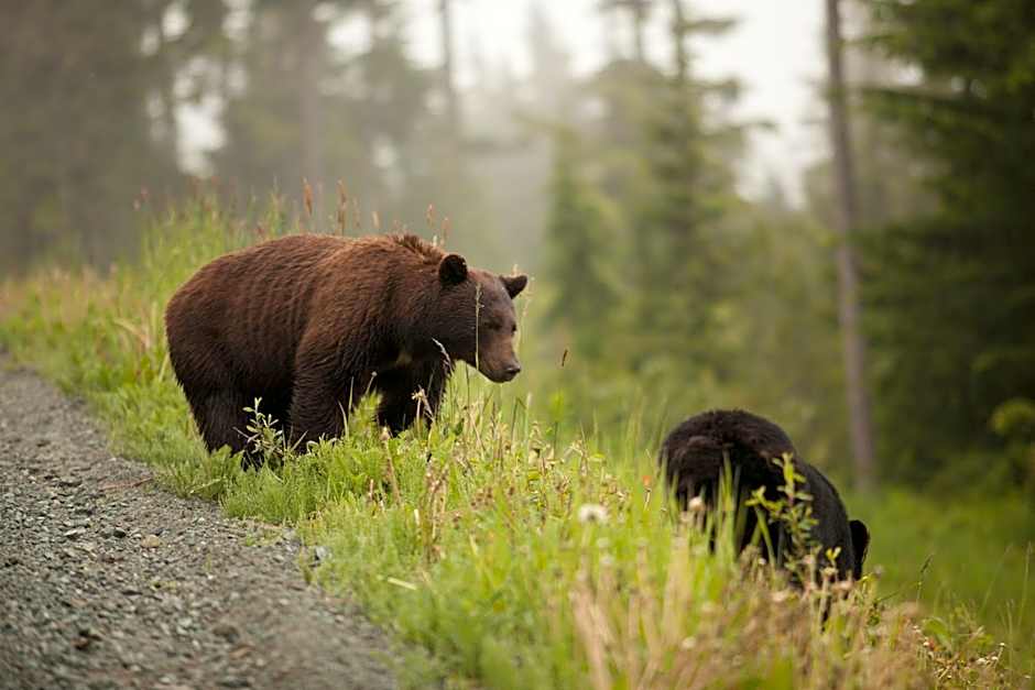 Mid Century Modern - Studio w Pool & Hot Tub