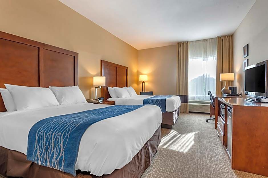 Comfort Inn Apalachin / Binghamton W Route 17