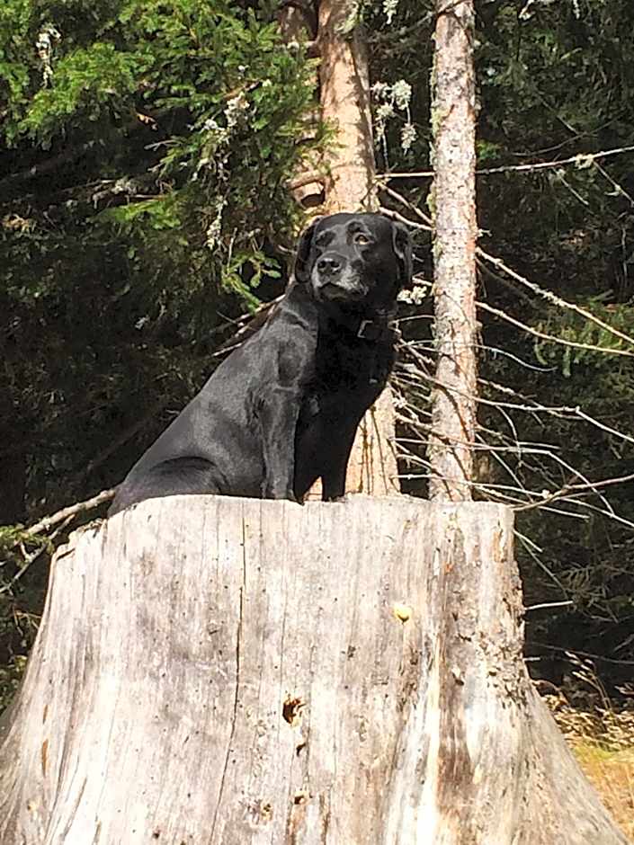 Schi- und Wanderhotel Berghof