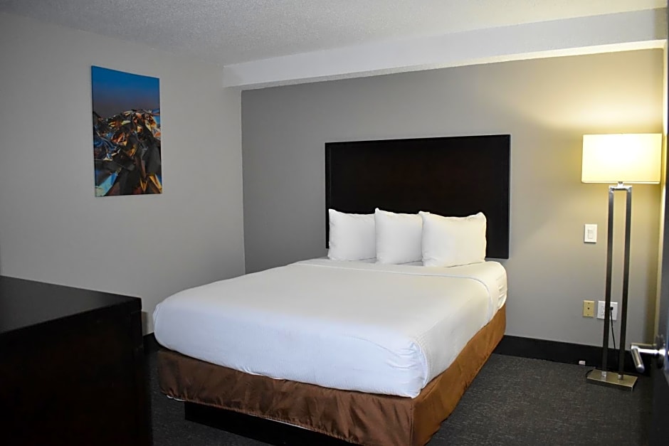Wingate by Wyndham Atlanta Galleria/ Ballpark