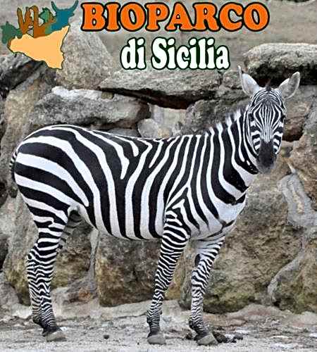 Airport Home in Carini Villagrazia