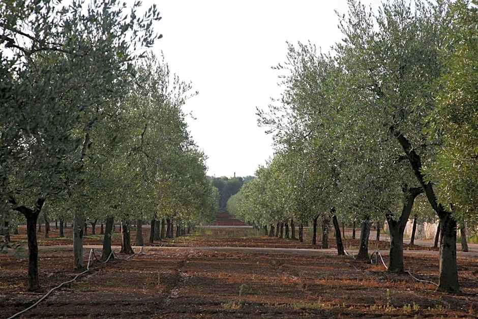 Masseria San Martino