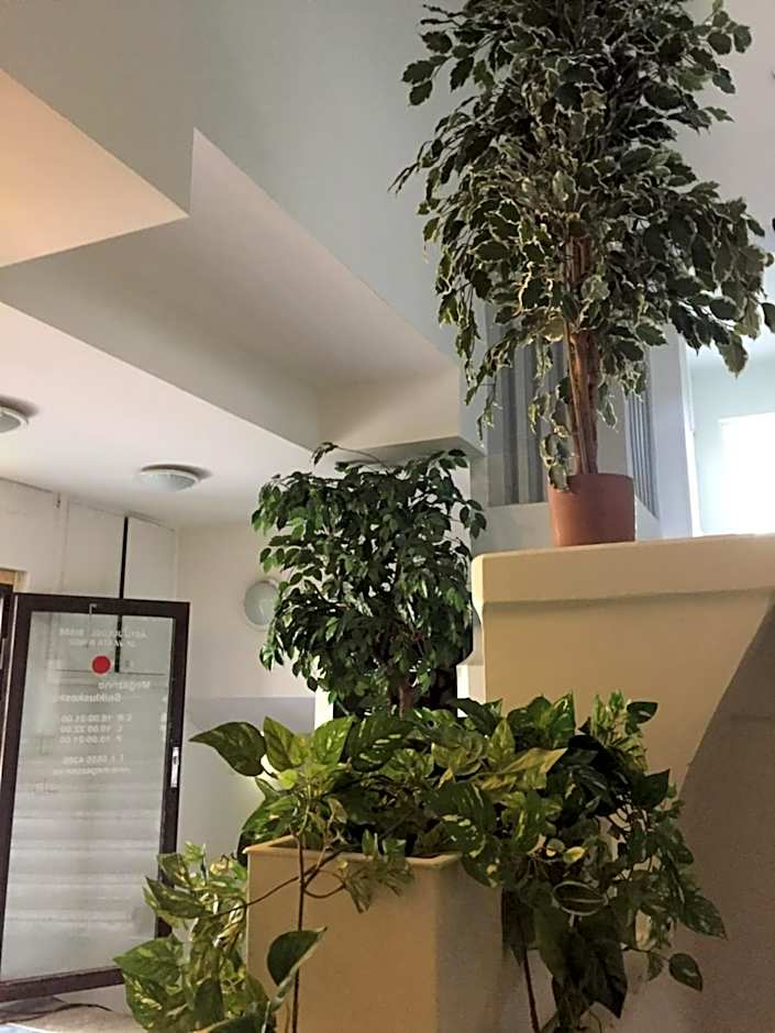 Freedom65 Hostel and Caravan