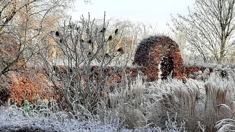 Bed & Breakfast De Stippelberg