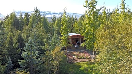 Bakkakot 1 - Cozy Cabins in the Woods