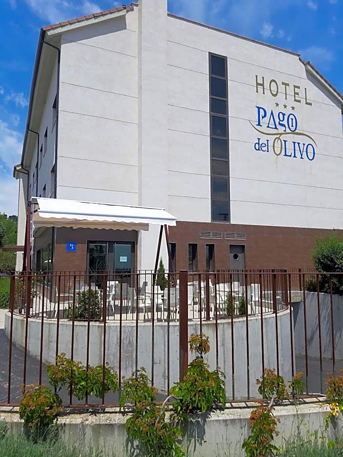 Hotel Pago del Olivo