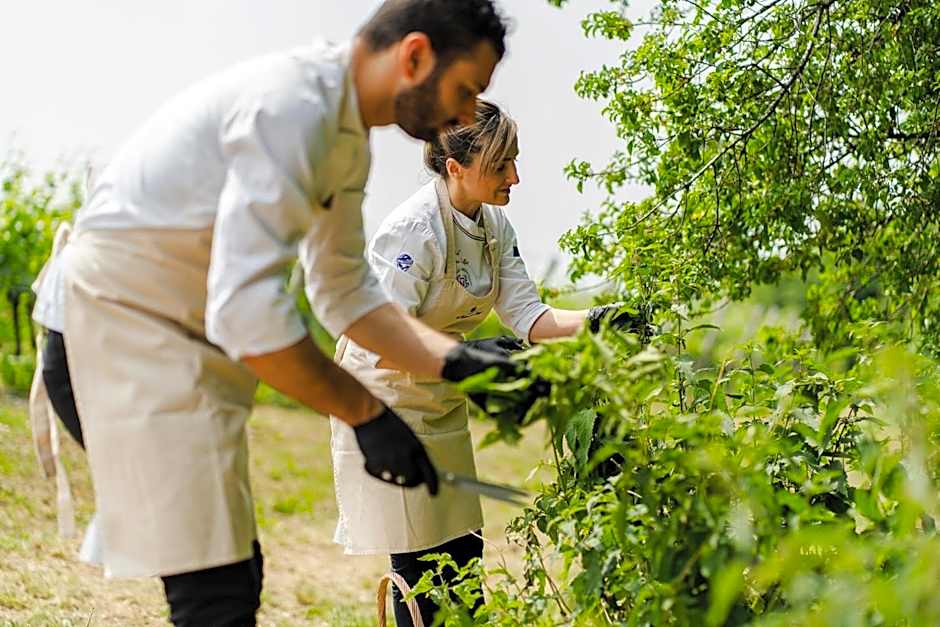 Ca' del Moro Wine Retreat