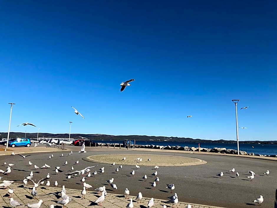 Albany Foreshore Guest House