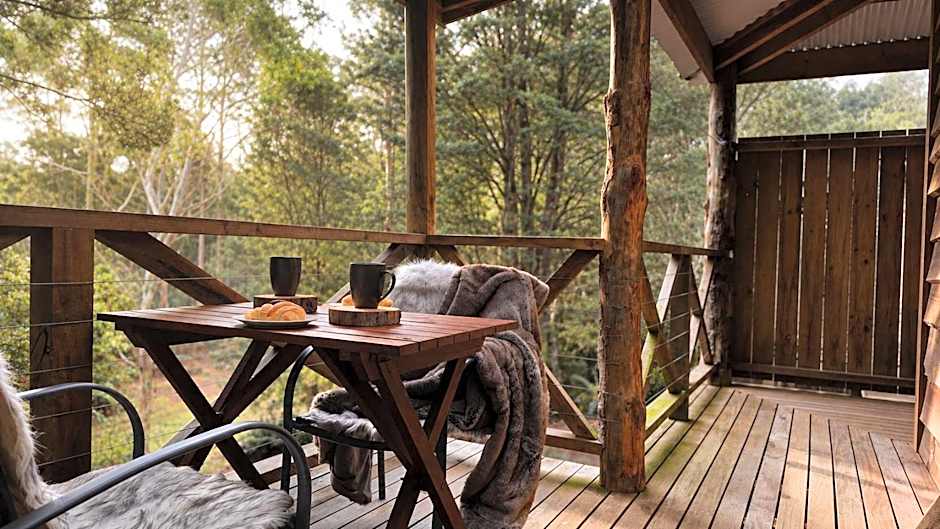 Cradle forest inn