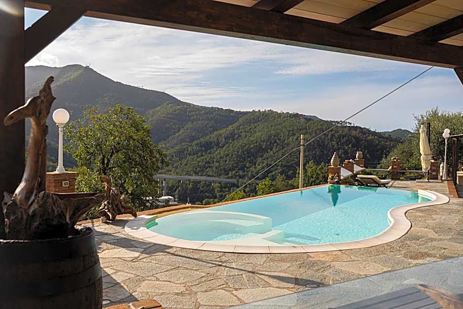 Villa Lice Verici