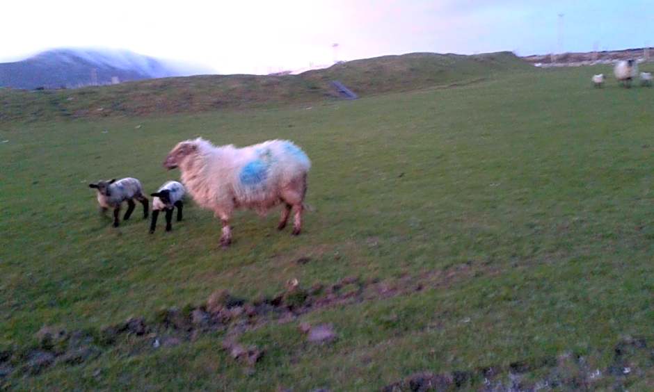 Achill West Coast House