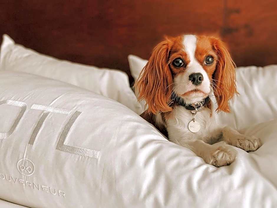 OTL Gouverneur Saguenay