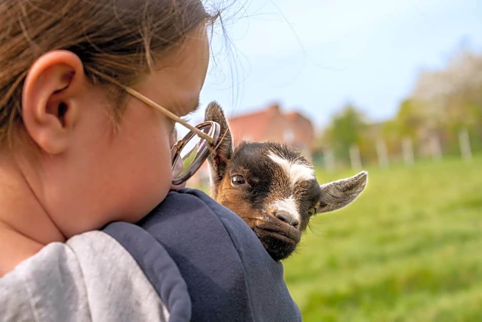 Logements insolites à la ferme - Yourte, Kota ou Pod