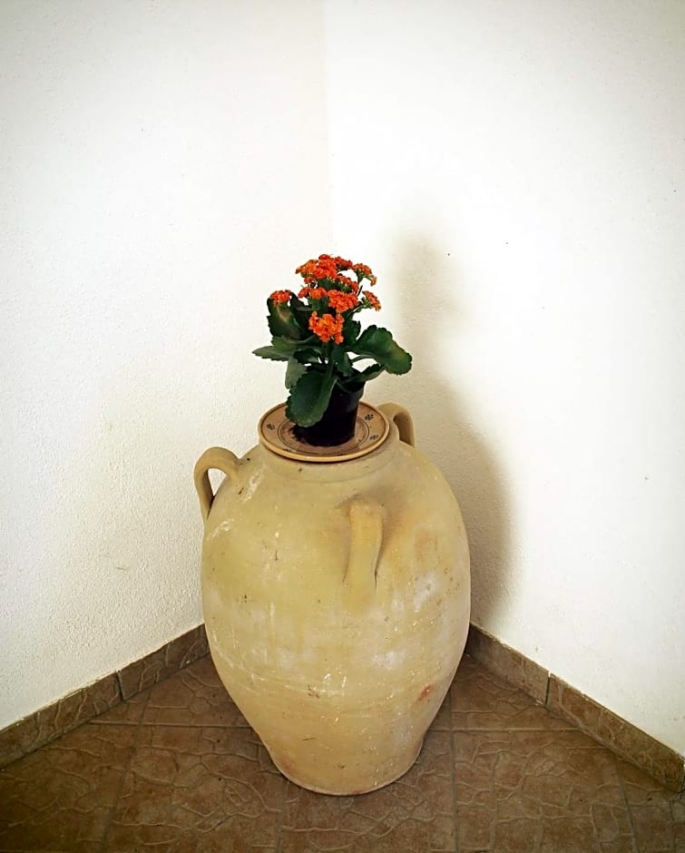 B&B Masseria Donna Carlotta