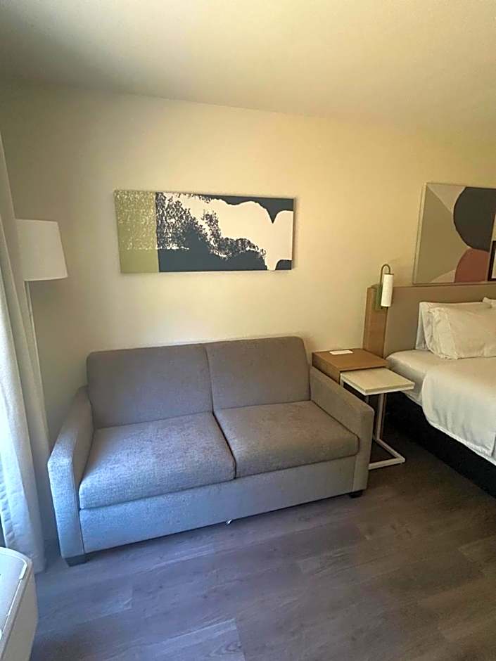 Photo 1 of 2 of 1 King Bed with Sofabed