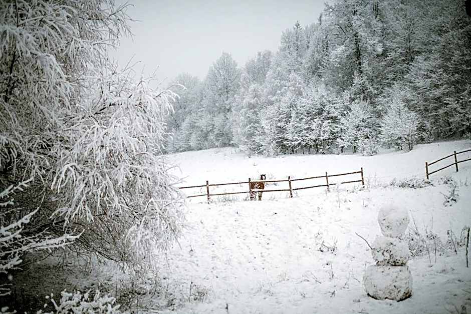 Osada Krasne - Noclegi Blisko Natury