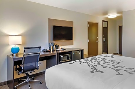 King Room with Shower - Non-Smoking