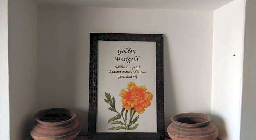 Golden Marigold Hotel