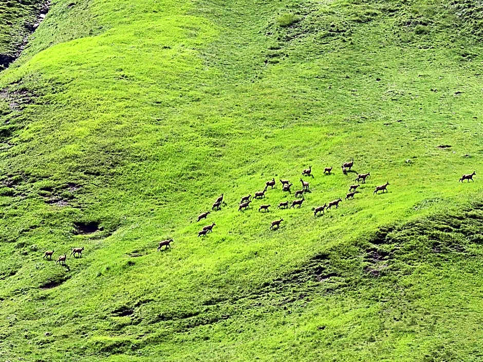 Aktivhostel HängeMatt