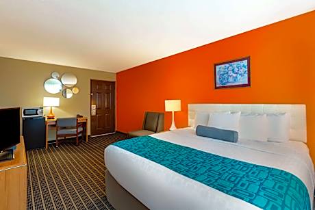 King Room - Pet Friendly/Non-Smoking