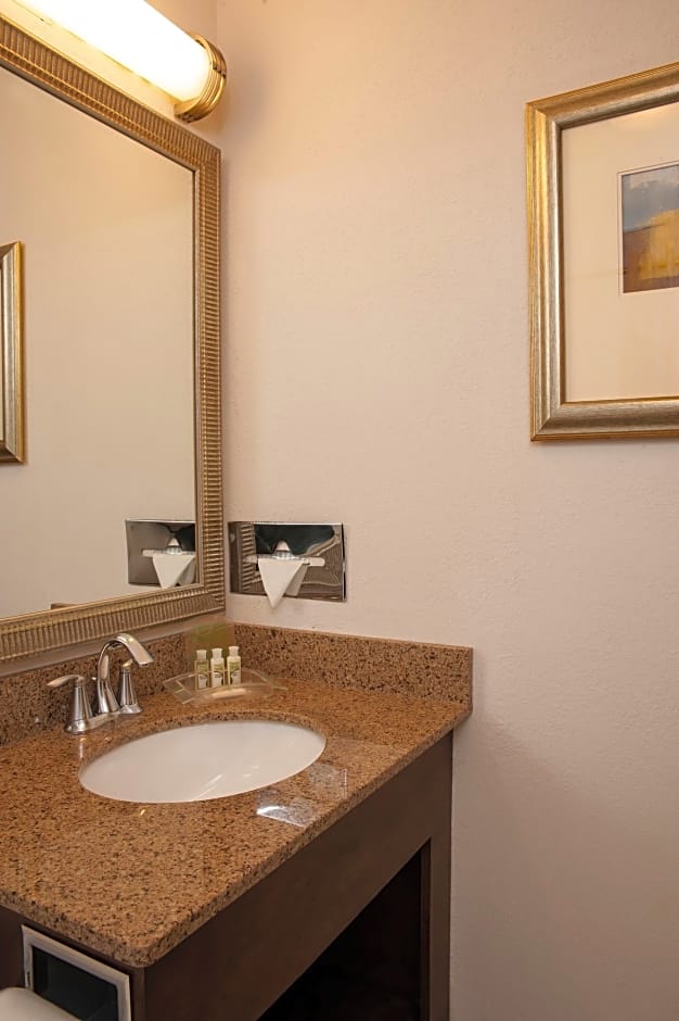Holiday Inn Chicago West - Itasca