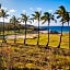 Hotel Ohana Rapa Nui